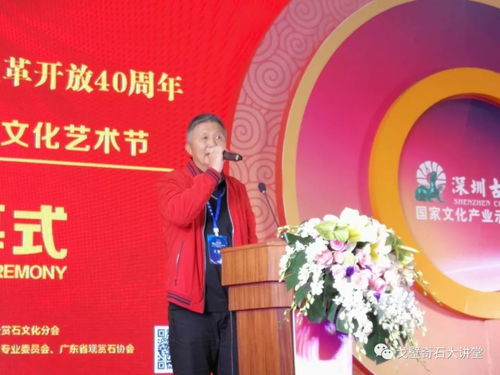 深圳首屆賞石文化藝術(shù)節(jié)開幕