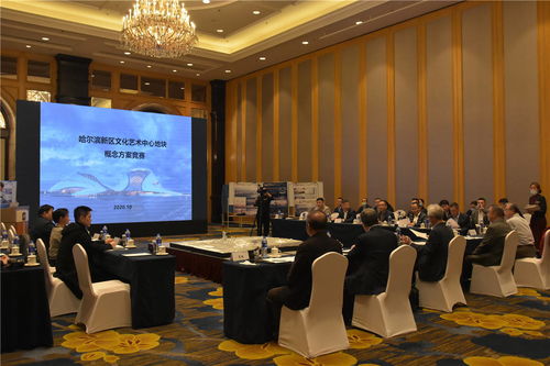 哈爾濱新區(qū)文化藝術(shù)中心項目建設(shè)邁出重要步伐 規(guī)劃設(shè)計招標(biāo)圓滿完成，文化藝術(shù)交流活動蓄勢待發(fā)