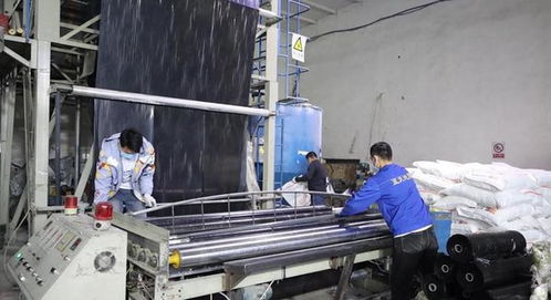 新疆阿勒泰市 農資企業開足馬力生產